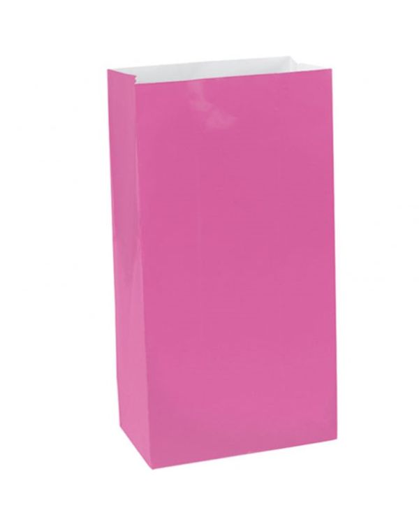 Hot Pink Party Bags - Paper 24cm (12pk)