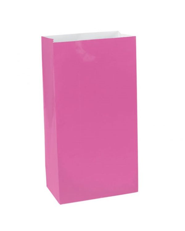Hot Pink Mini Paper Bags - 16.5cm (12pk)