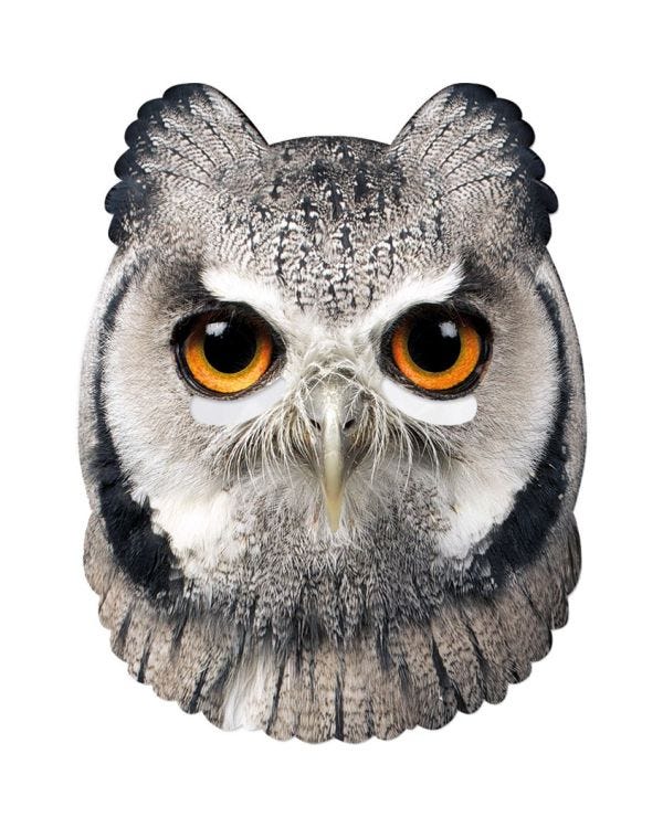 Owl Mask