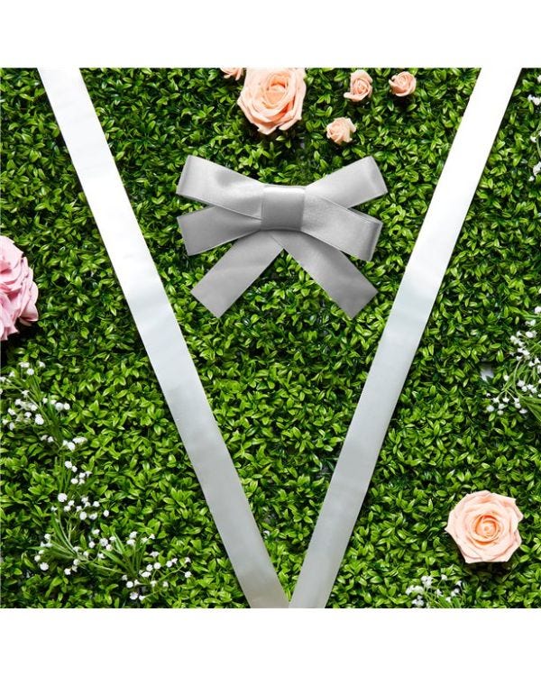 Silver Wedding Car Ribbon &amp; Bows Kit - 9m