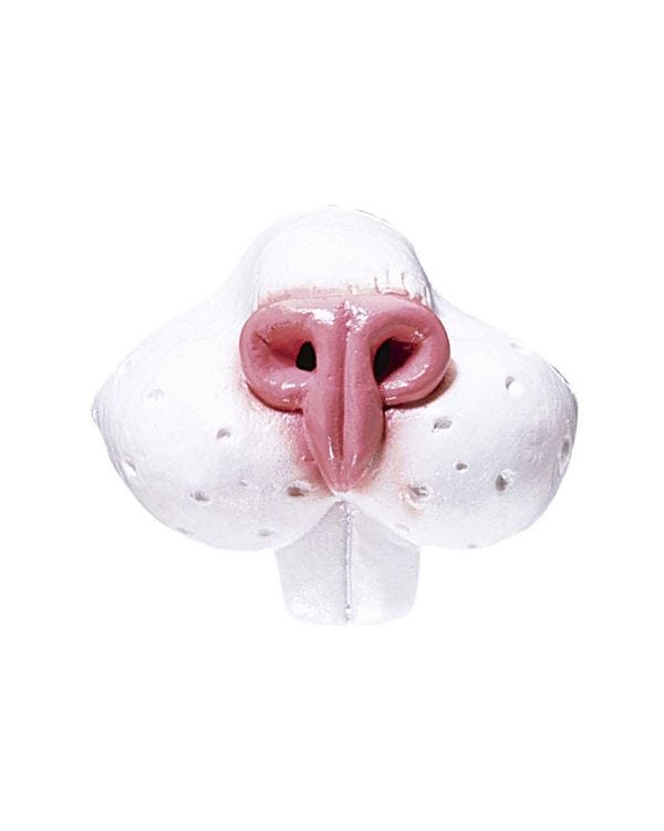 Rabbit Nose