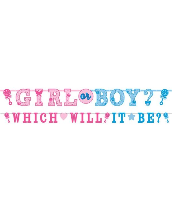 Gender Reveal Letter Banner (2pk)