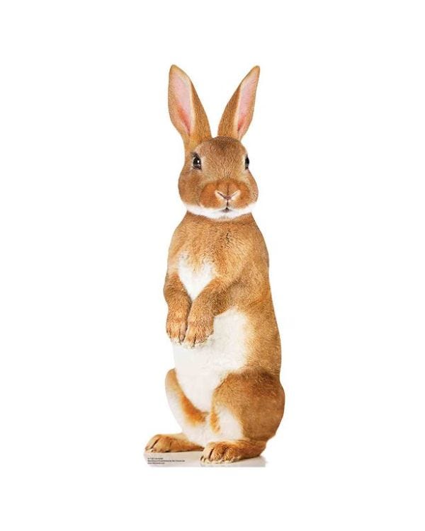Rabbit Cardboard Cutout - 90cm x 33cm