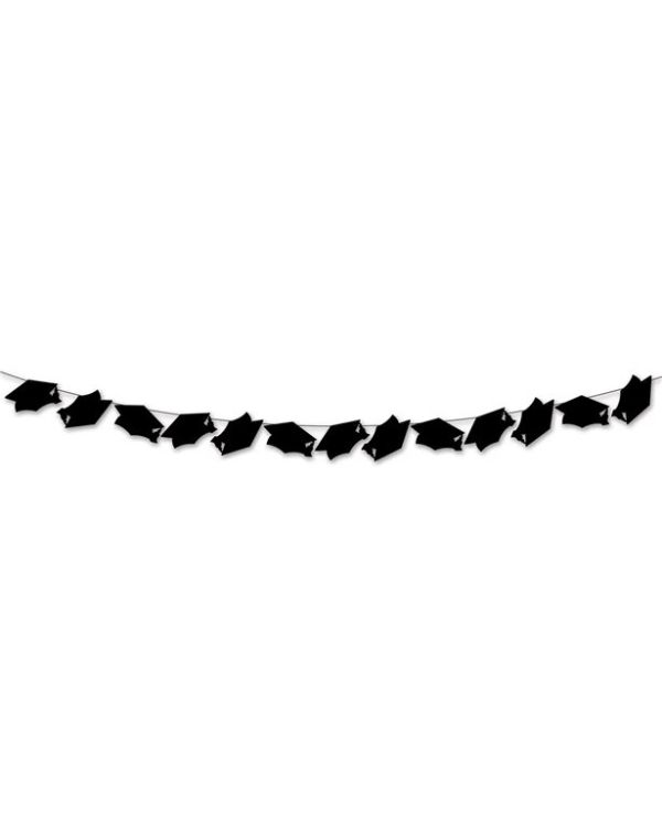 Graduation Picture Streamer -15&quot; x 16&#039;