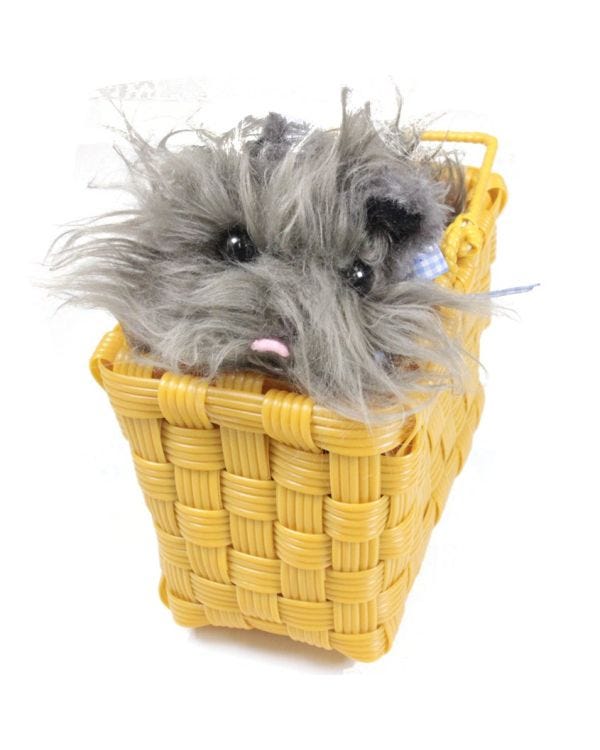 The Wizard of Oz Toto in Basket