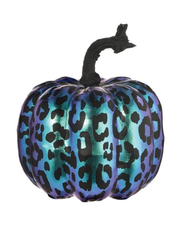 Purple Midnight Pumpkin - 17.5cm