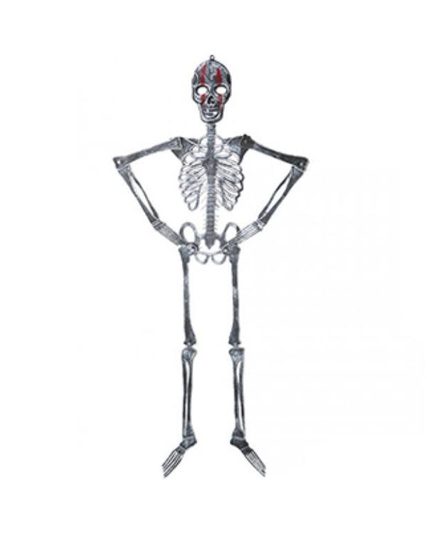 Flat Hanging Skeleton - 115cm