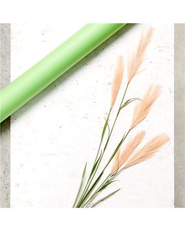 Beige Pink Pampas Grass Decoration - 1.45m