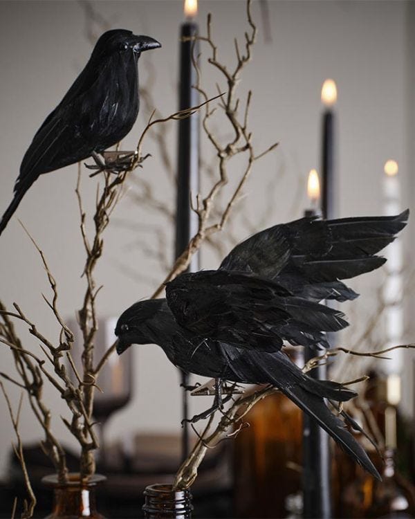 Large Crows Clip On Decorations (2pk)