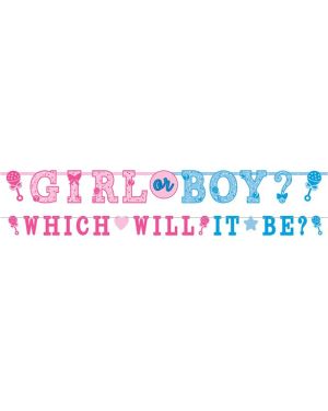 Gender Reveal Letter Banner (2pk)