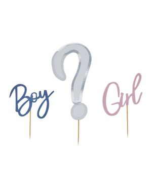 Gender Reveal Cake Topper Set (3pk)