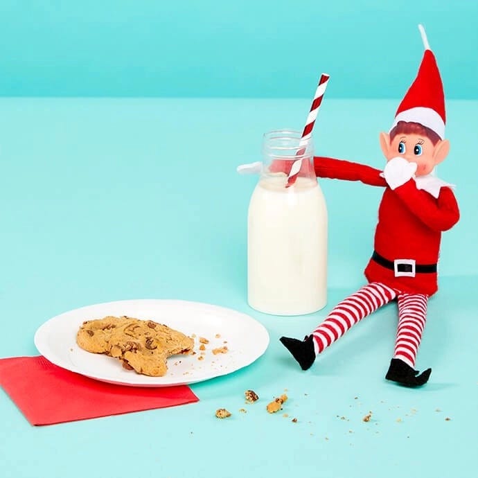 Elf on the Shelf drinking milk and cookies