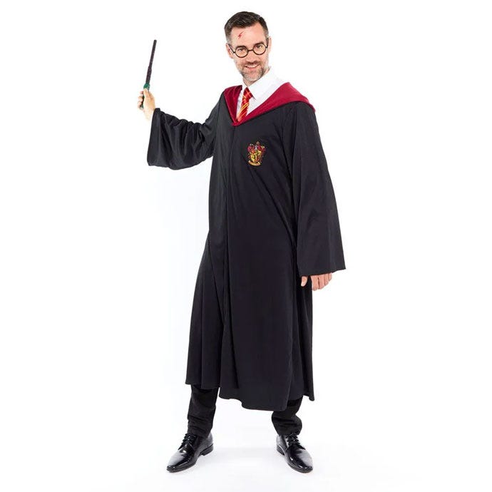 Harry Potter fancy dress costume for adults